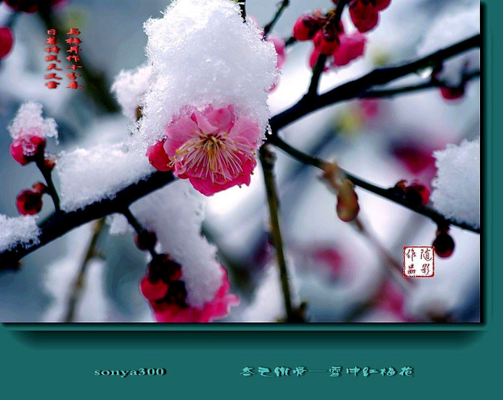 巴萨巨头:德容在这如鱼得水 德里赫特后悔去尤文了-九游体育入口(图1) 九游体育